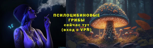 PSILOCYBIN Балахна